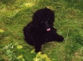 Evi - 05.08.2000